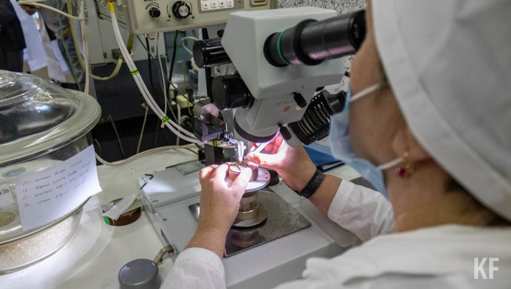 Заразившийся пациент прилетел в Бельгию из Египта несколько дней назад.