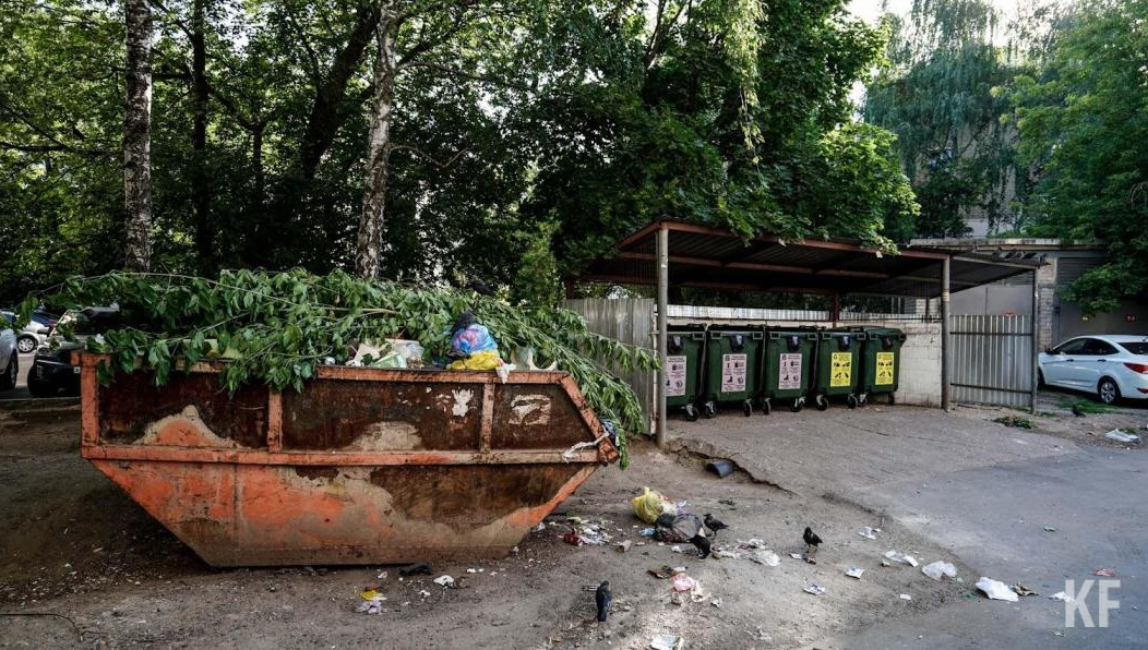 В систему «Открытая Казань» поступило 1