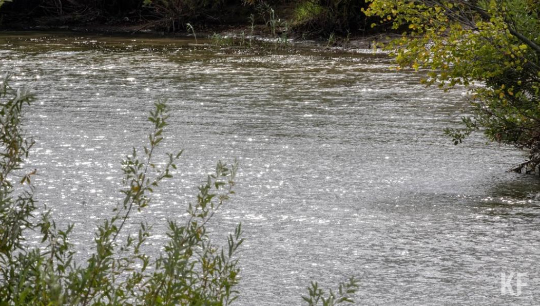 На след преступника помог выйти телефон.
