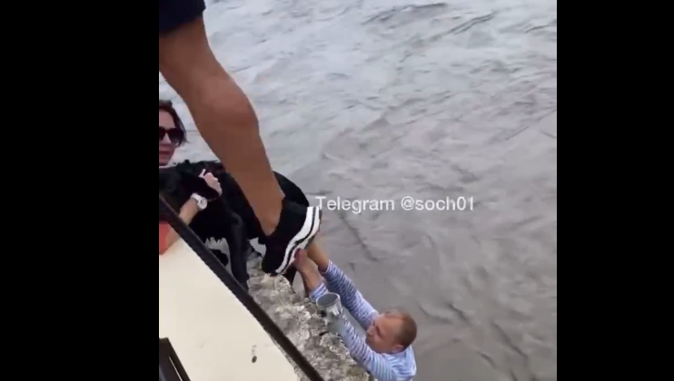 Животное не могло прибиться к берегу речки из-за сильного течения.