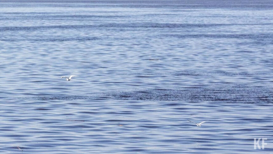 Предприятие сбрасывало недостаточно очищенные сточные воды.