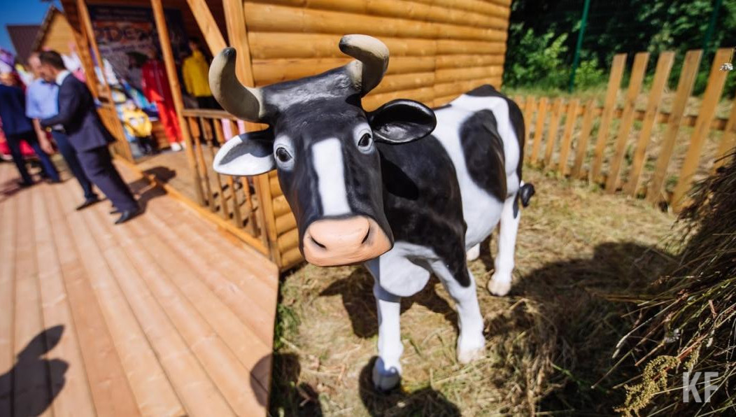 Для повышения деловой активности на селе необходим грант в 72 млн рублей.