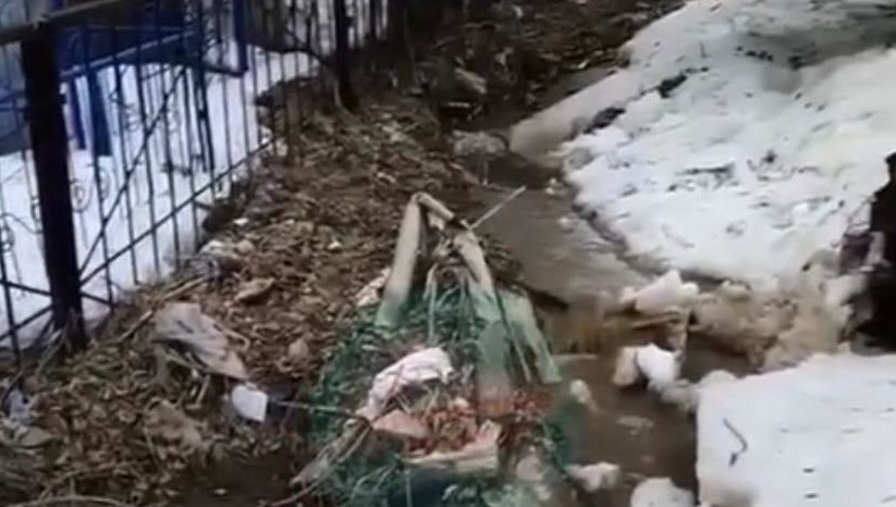 Автор кадров подчеркнула