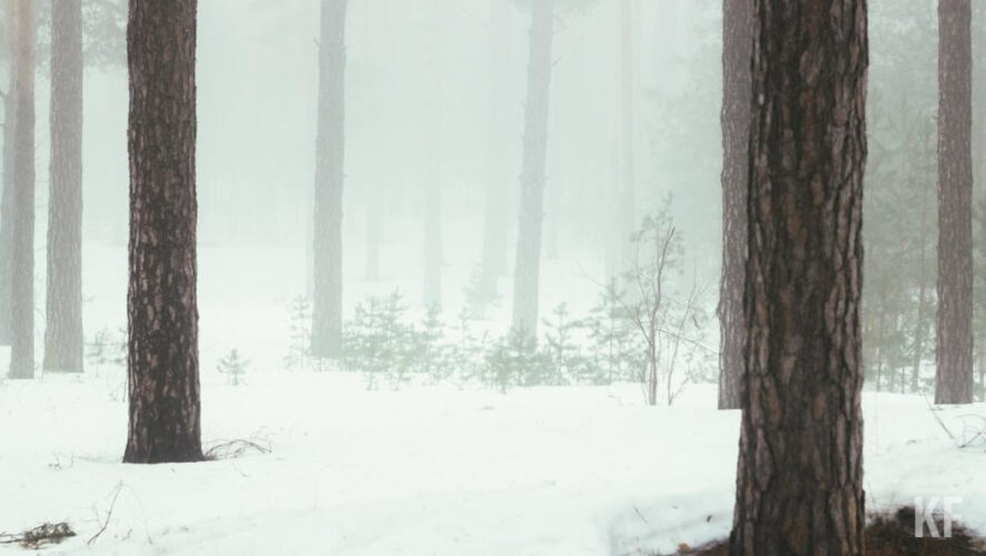 Зарплату подозреваемый забирал себе.