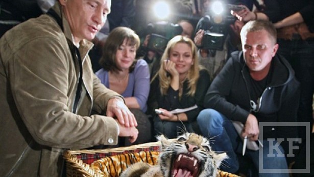 Президент РФ Владимир Путин поздравил россиян с Днем тигра. Текст поздравления опубликован на сайте Кремля «Этот добрый праздник