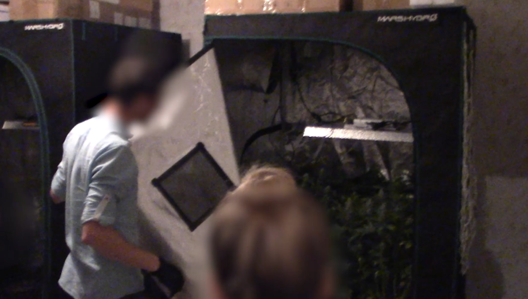 Возбуждены уголовные дела по двум статьям.