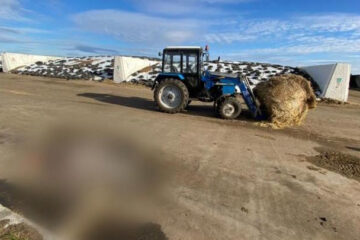 Возбуждено уголовное по статье о причинении смерти по неосторожности.