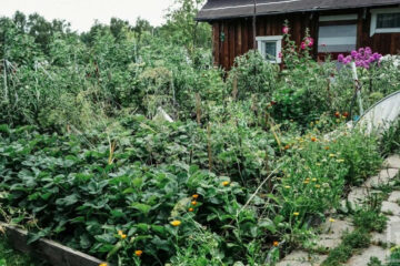 Ранее в Казани нельзя было строить садовые дома площадью более 50 метров.