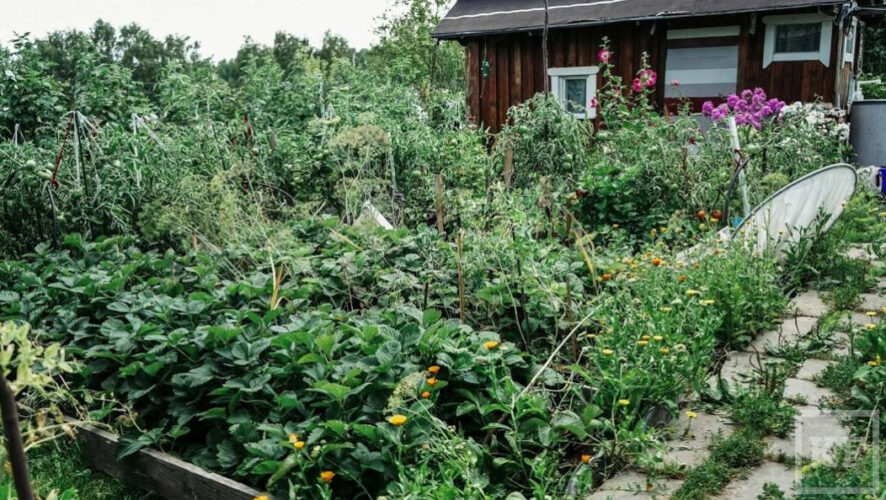 Ранее в Казани нельзя было строить садовые дома площадью более 50 метров.