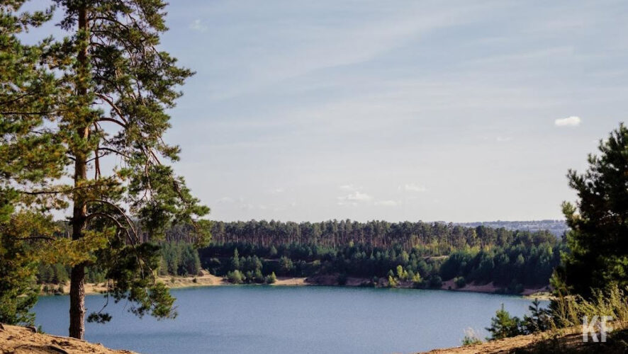 Старожилы растут в парке &laquo;Черное озеро&raquo;.