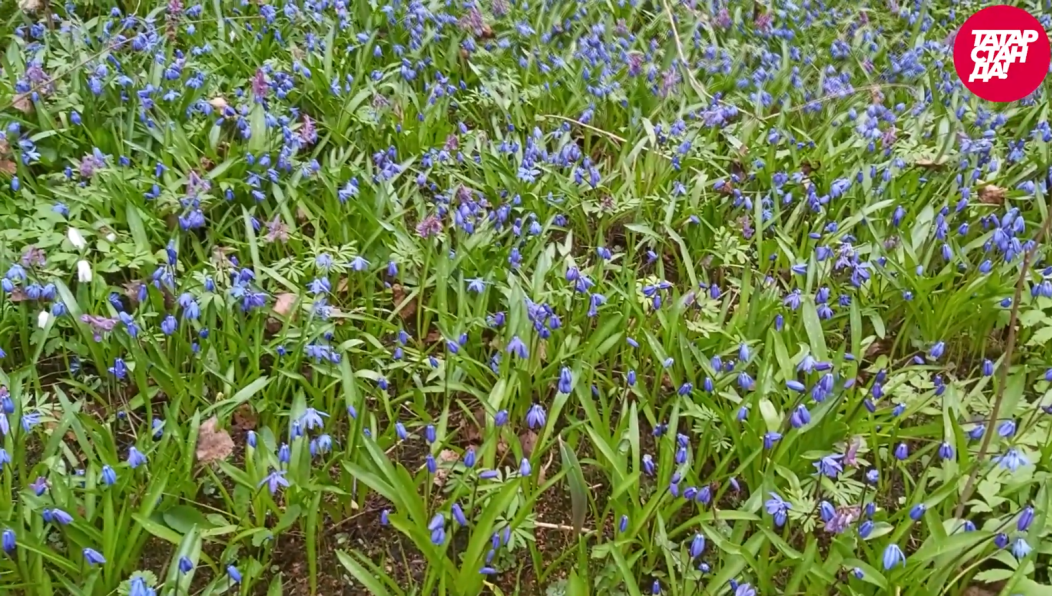 Территория