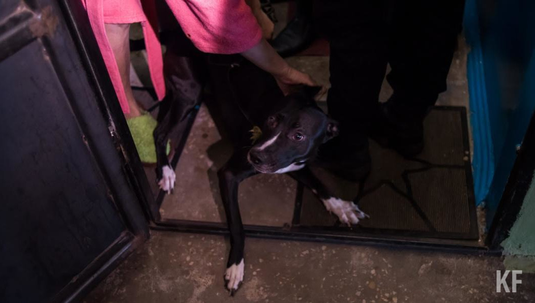 Спор двух жительниц Липецка стал прецедентом.