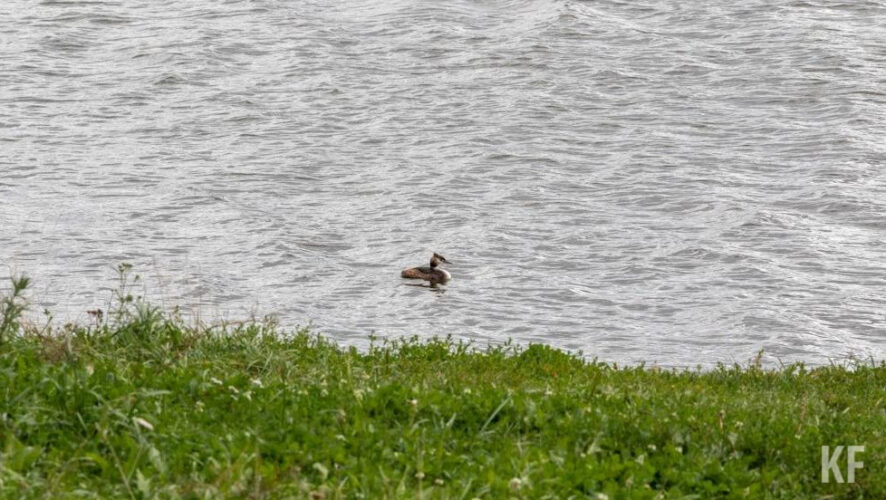 Сейчас правоохранители устанавливают личность погибшего.