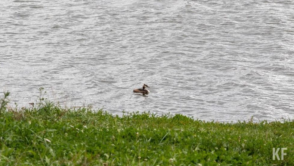 Сейчас правоохранители устанавливают личность погибшего.