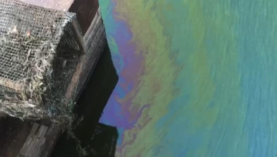 Инспекторы Росприроднадзора вместе со специалистами регионального ЦЛАТИ отобрали пробы воды.