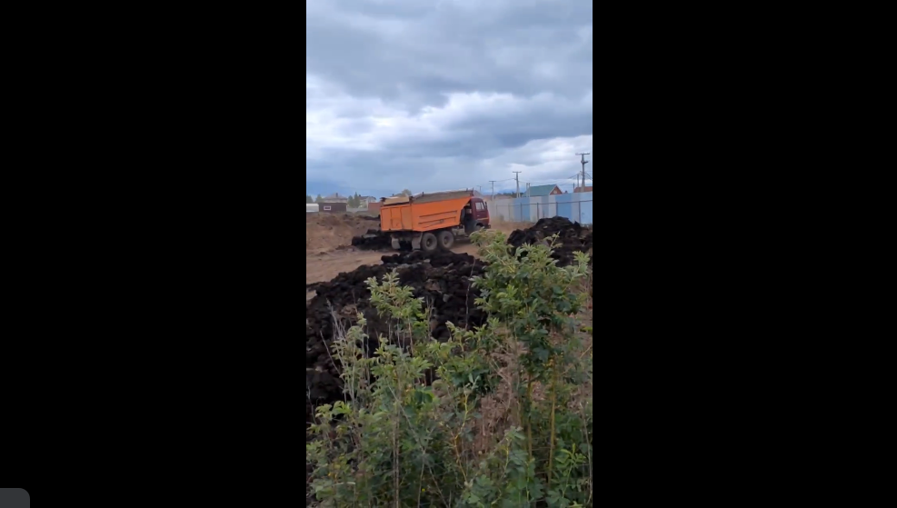 Сельчанин попросил провести проверку на предмет законности сделки по реализации земли в лесопосадке.