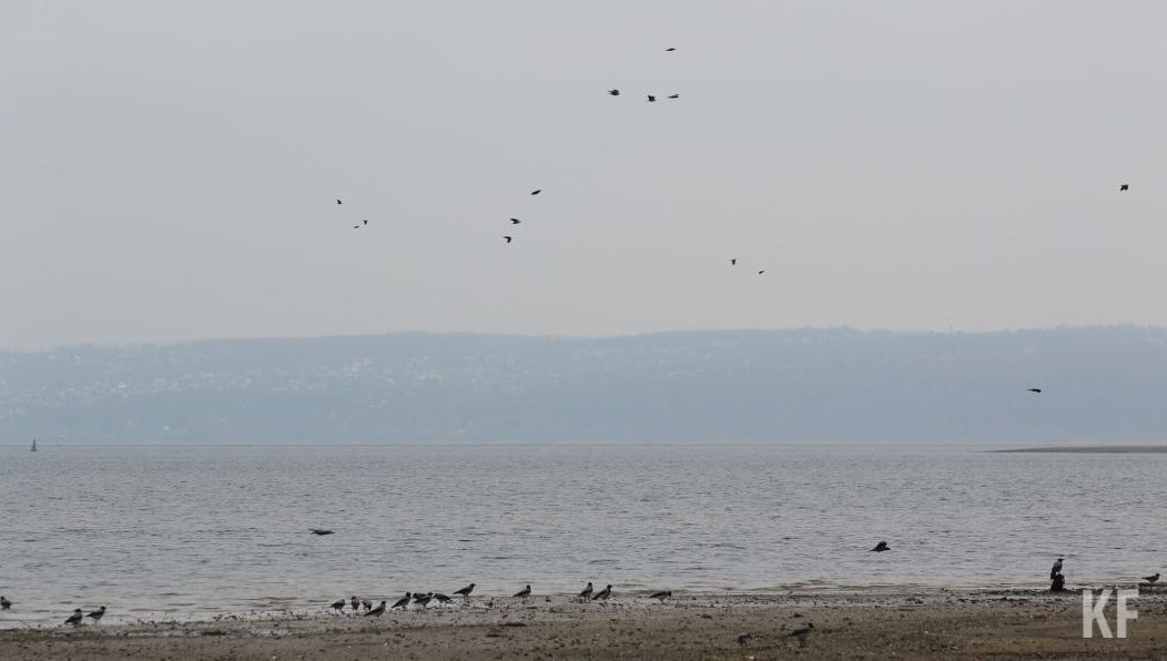 Их максимальная магнитуда - 5