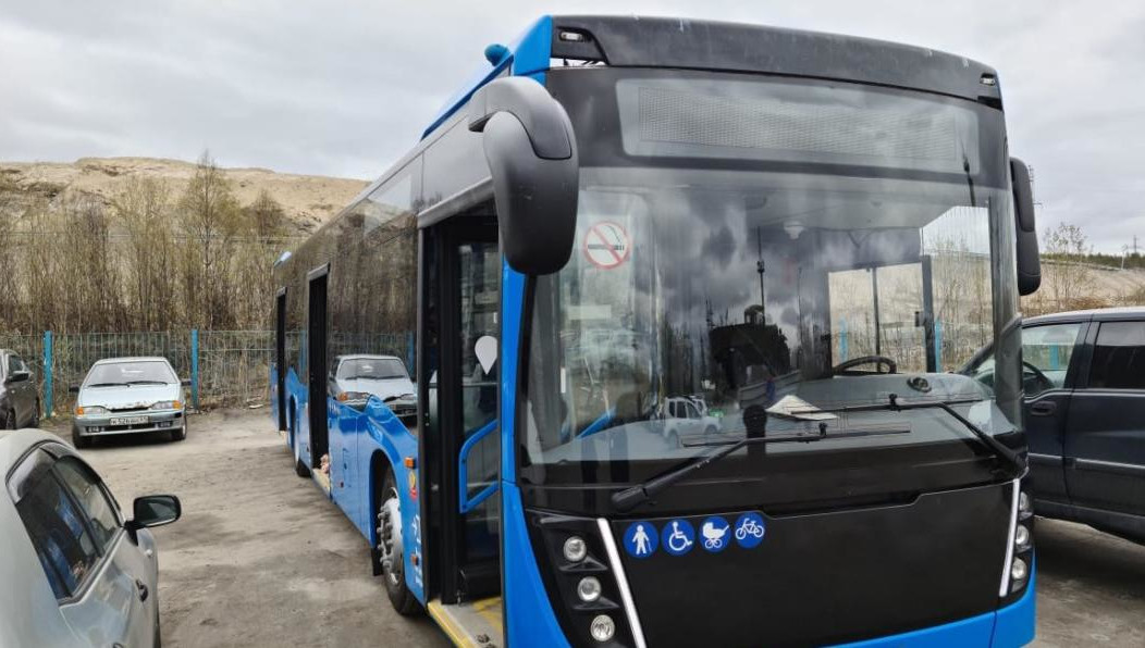 На закупку из бюджета автограда выделили 234 миллиона рублей.