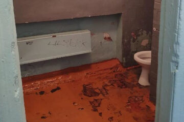 Шесть школ выиграли конкурс на самый худший туалет от Domestos.