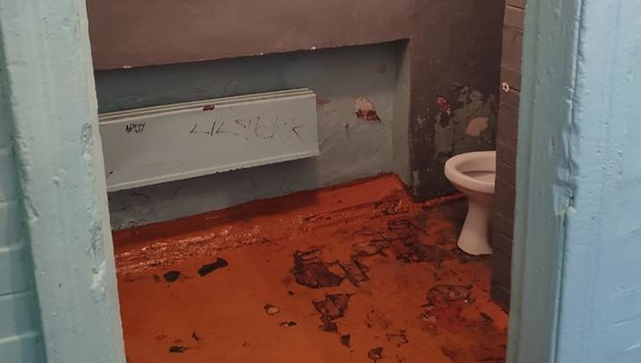 Шесть школ выиграли конкурс на самый худший туалет от Domestos.