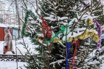 Жителей Казани просят сдавать отслуживший символ Нового года в специальные контейнеры. Сбором елок займется Поволжская экологическая компания.