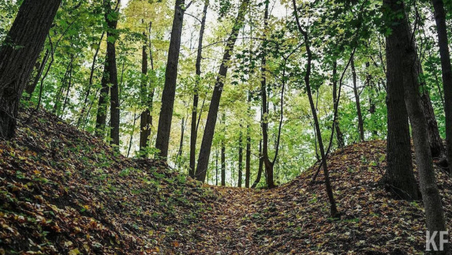 Механизм необходимо создать в течение суток.