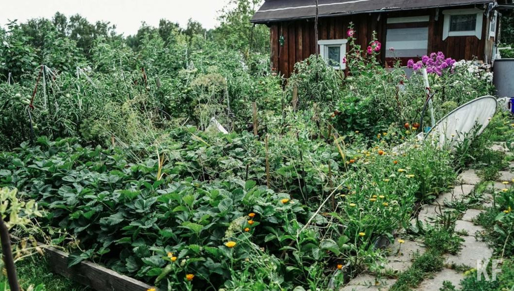 Обжаловать приговор не получилось.