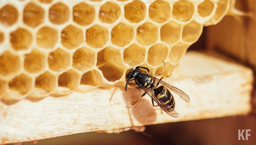 Неизвестно