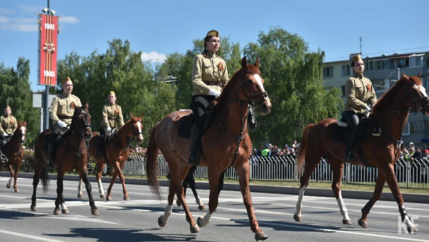 Известный российский журналист опубликовал ролик с лошадьми в своем Телеграм-канале.