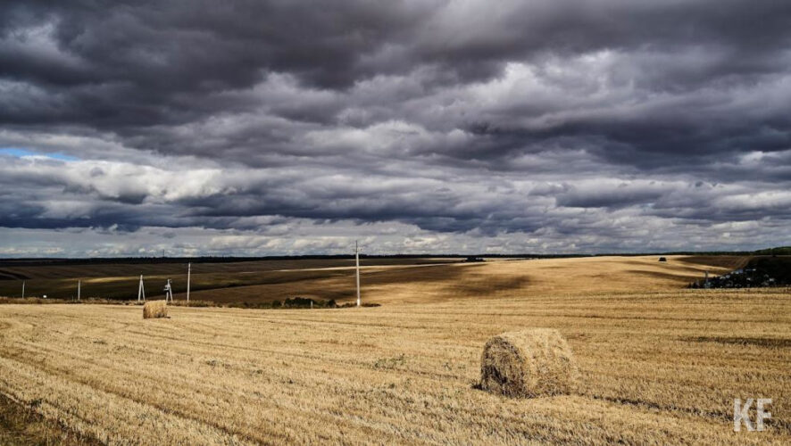 В&nbsp;2023 году республика получит 4