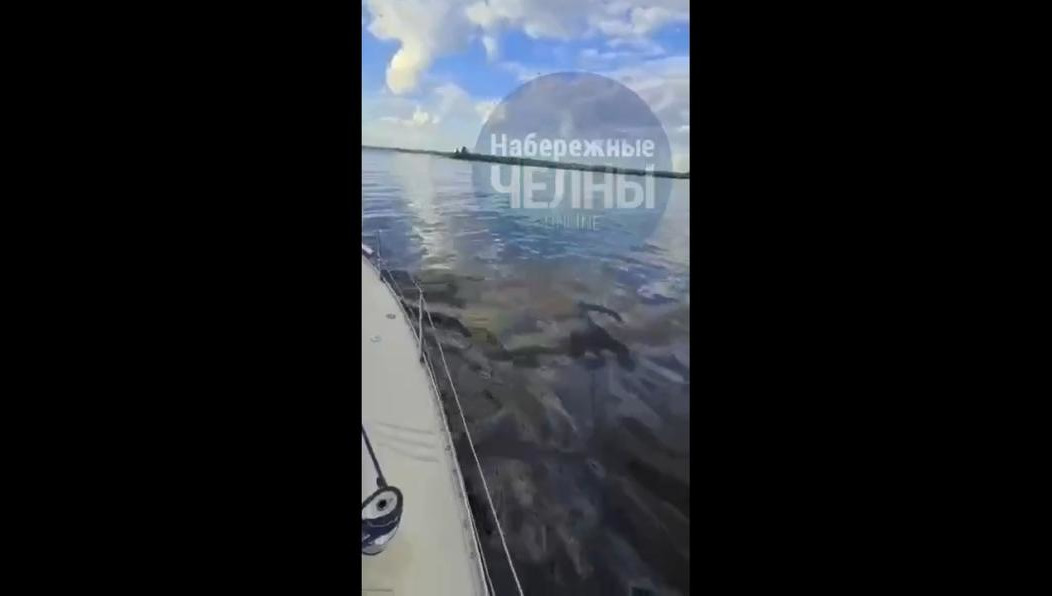 На место выехали специалисты.