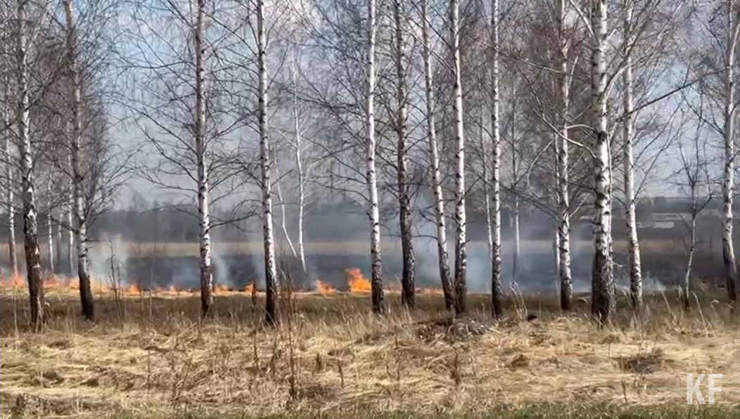 Специалисты напомнили