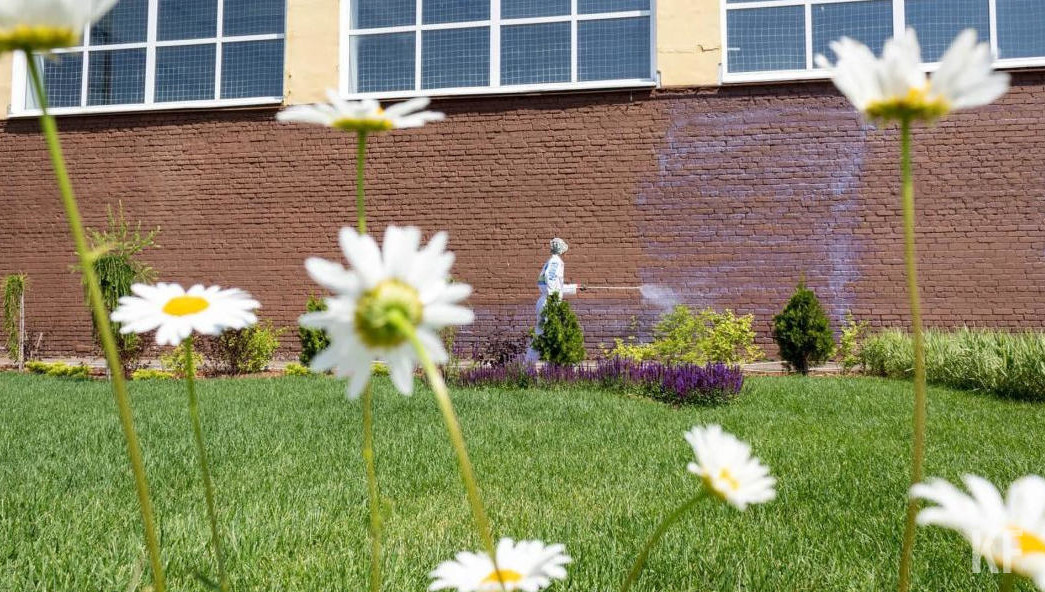 Тендер появился на сайте госзакупок.
