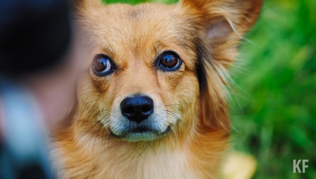 Молодой человек перевел мошеннику более 25 тысяч рублей.