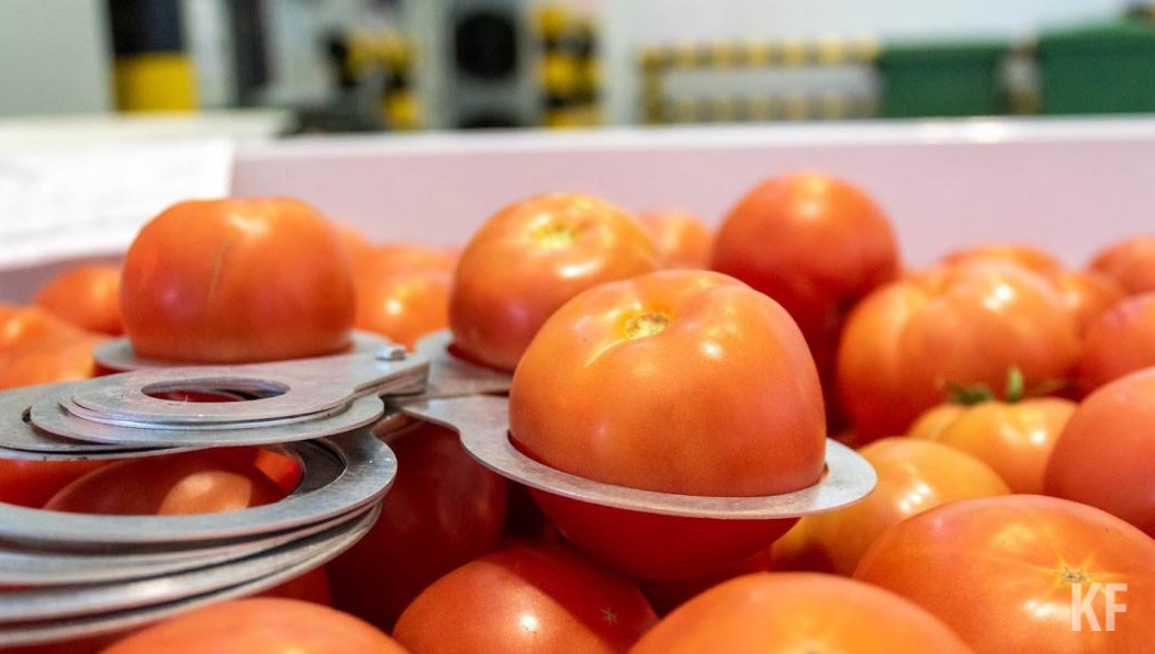 Торговля будет проходить на 15 площадках каждую субботу.