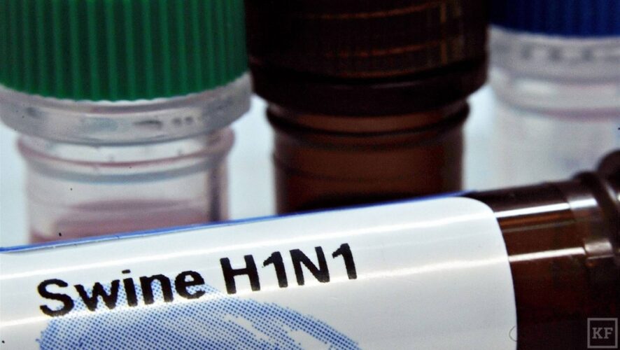 У 74 жителей Набережных Челнов медики подтвердили диагноз гриппа H1N1