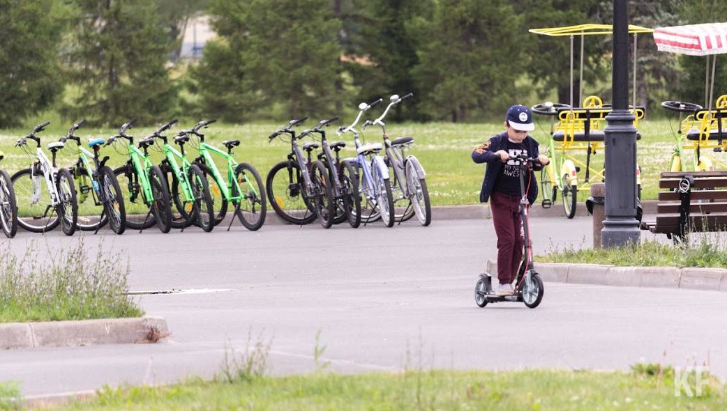 Против проголосовали меньше четвертой части респондентов.