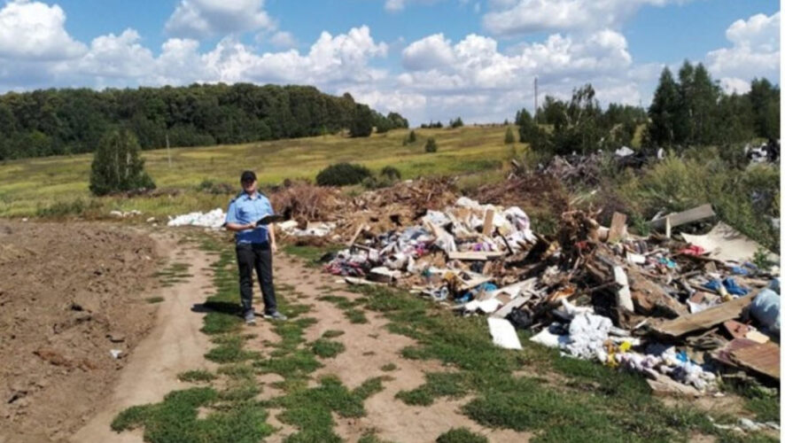 Их общая площадь составила почти 4 тысячи квадратных метров.