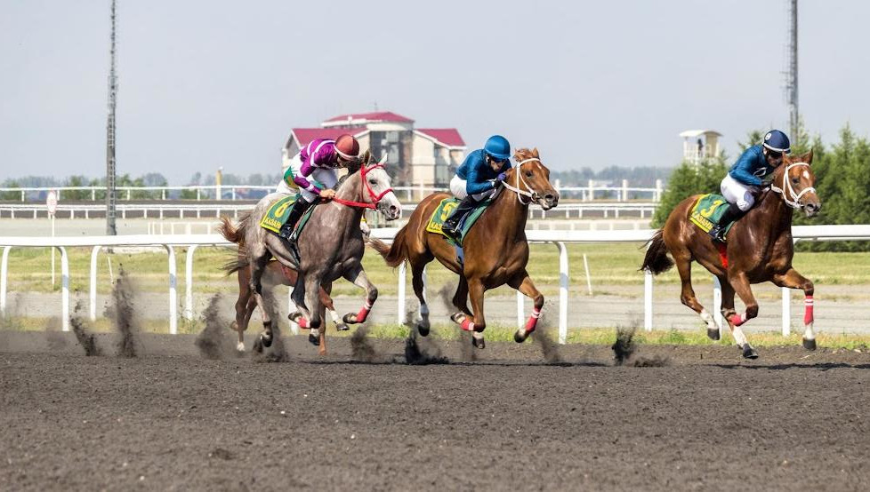 Они открыли программу празднования Сабантуя в городе.