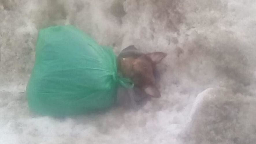 Малыш мог оказался под колесами машин