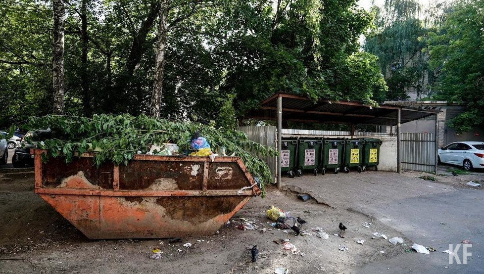 Власти города проблему признали.