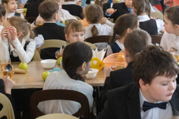 Речь идёт о двух комплексах питания.