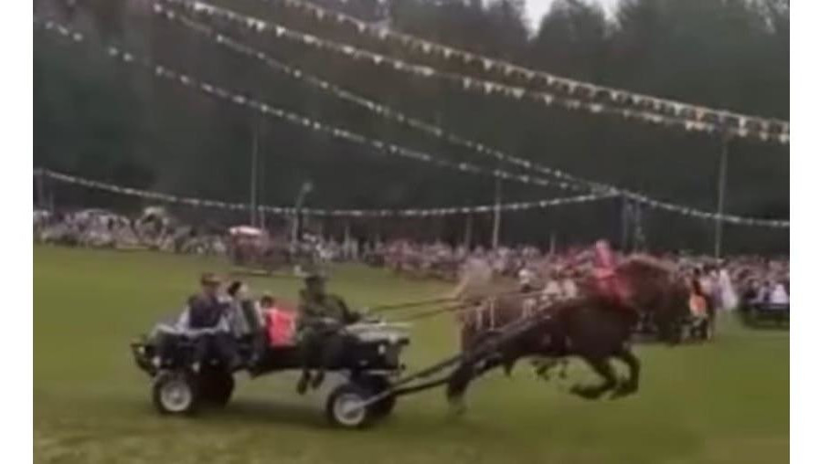 Видео инцидента появилось в соцсетях.