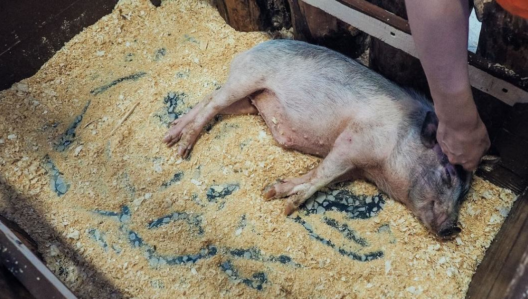 Сотрудники Роспотребнадзора вменяют организации «фальсификацию продукции».