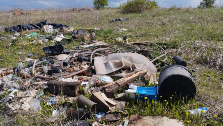 Рейды Россельхознадзора проходили вблизи населенных пунктов.