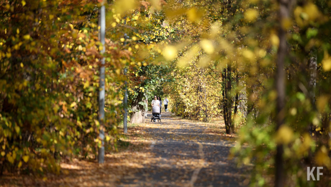 В августе конкурсная комиссия из Гуанчжоу посещала парк