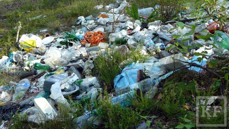 В Татарстане на борьбу с несанкционированным мусором в черте городов минэкологии республики выделило 3 млн рублей. Из этой суммы каждому жителю РТ