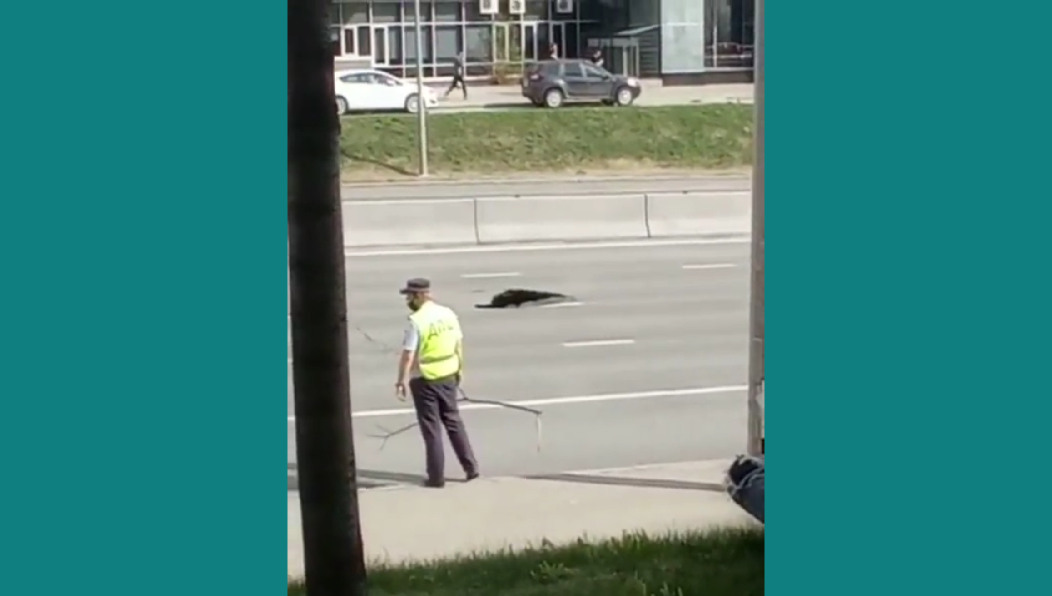 Провал в асфальте заметили сотрудники автоинспекции.