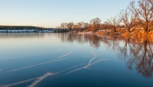 Почти во всех муниципальных районах