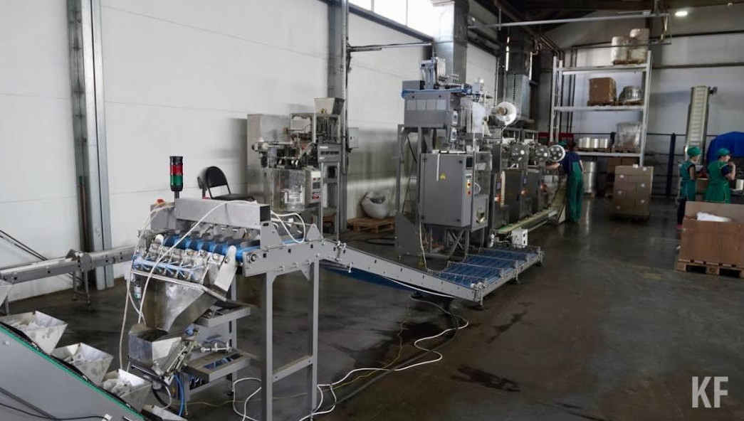 Речь идет о ТОСЭР «Набережные Челны» и «Менделеевск».